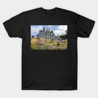 The grasses of St Fagans Castle T-Shirt